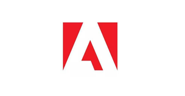 赢政天下 Adobe 2020-2021 全家桶 v11.8 中文大师版 8月版