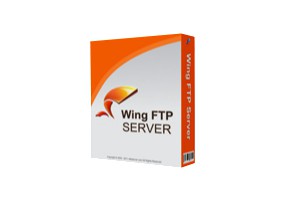 Wing FTP Server v6.5.8 服务器端完美学习企业版