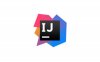 JetBrains IntelliJ IDEA Ultimate v2021.1.2 汉化学习激活版